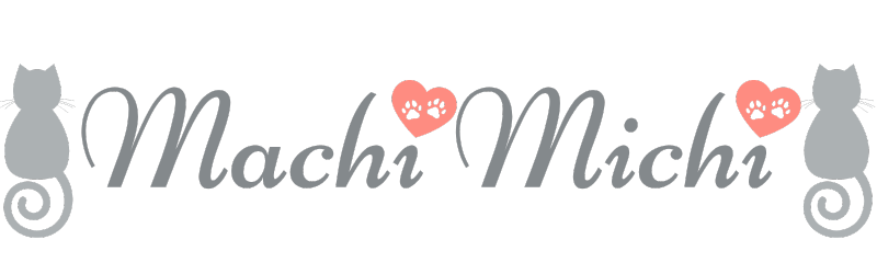 MachiMichi〜好きな街と生きる道〜